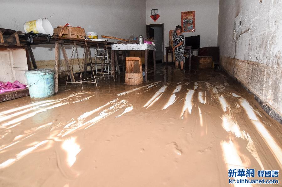 （关注台风“苏迪罗”）（4）台风“苏迪罗”致安徽55万余人受灾