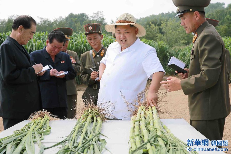（国际）（1）金正恩视察朝鲜人民军所属1116号农场