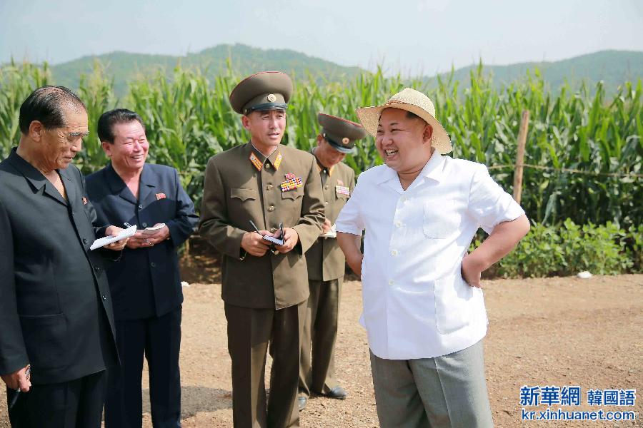 （国际）（2）金正恩视察朝鲜人民军所属1116号农场