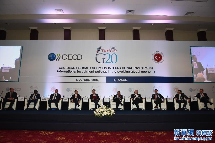 （国际）（3）20国集团和经合组织国际投资论坛在伊斯坦布尔召开