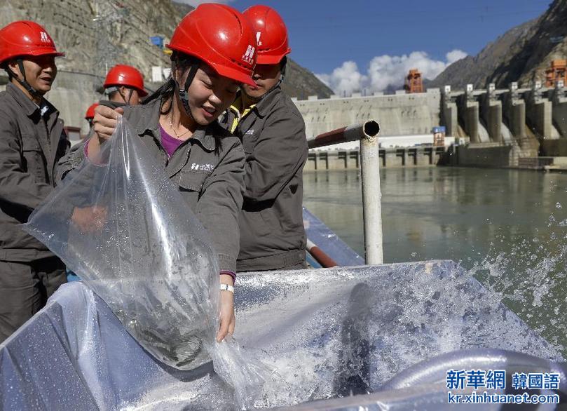 （生态）（1）西藏藏木水电站水域开展珍稀鱼类增殖放流活动