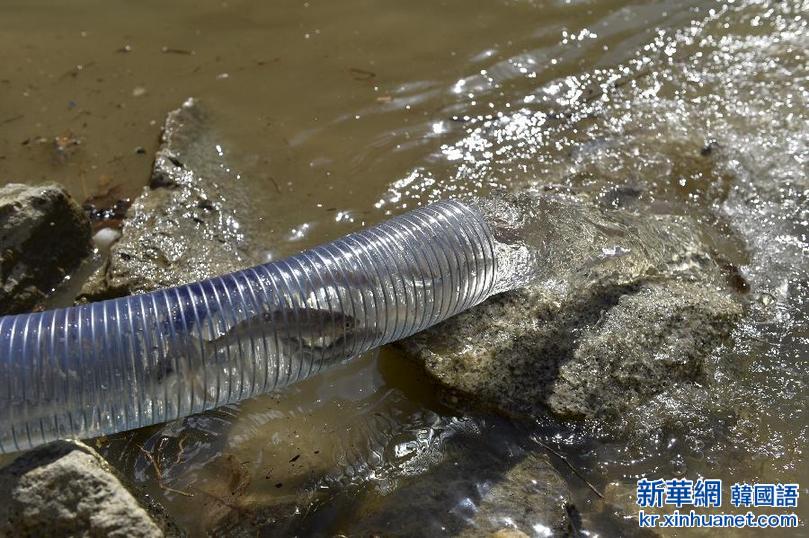 （生态）（2）西藏藏木水电站水域开展珍稀鱼类增殖放流活动
