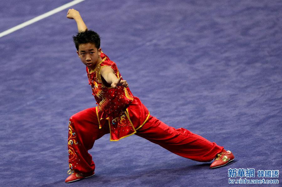 （青运会）（2）武术——第一届全国青年运动会男子南拳比赛开赛