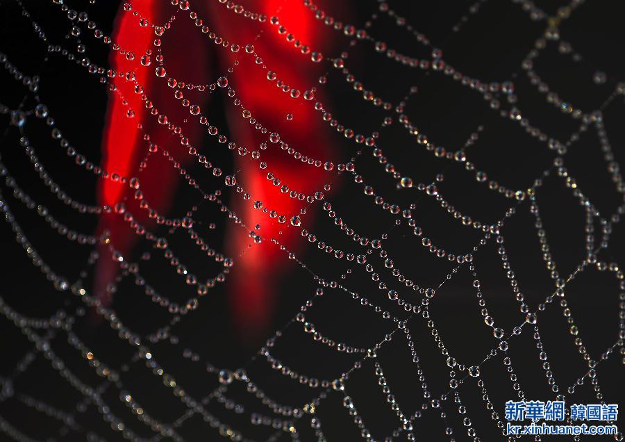 #（视&middot;觉）（4）秋色染枫林 红叶美如花