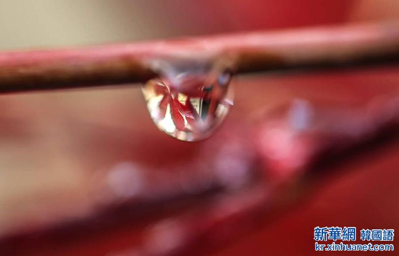 #（视&middot;觉）（6）秋色染枫林 红叶美如花