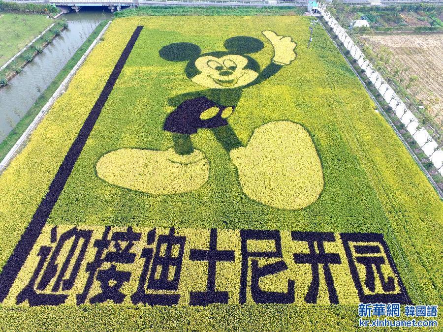 #（社会）（1）“米老鼠”稻田画迎接迪士尼落户上海