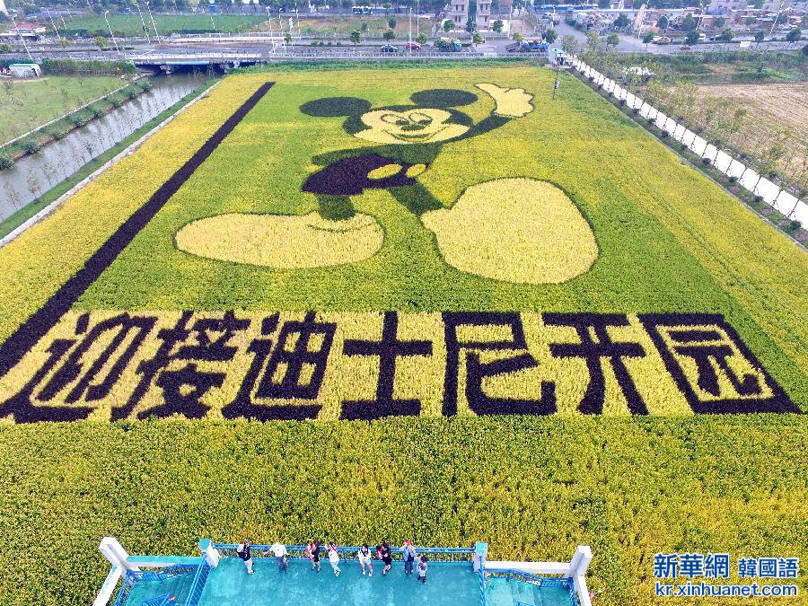 #（社会）（2）“米老鼠”稻田画迎接迪士尼落户上海