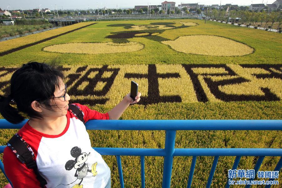 #（社会）（3）“米老鼠”稻田画迎接迪士尼落户上海