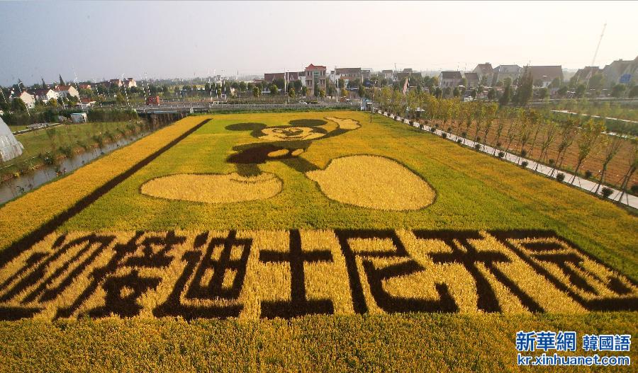 #（社会）（4）“米老鼠”稻田画迎接迪士尼落户上海