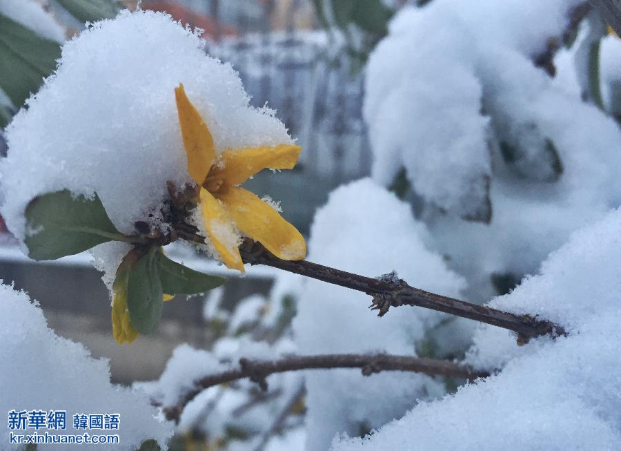 （生态）（2）北京降雪