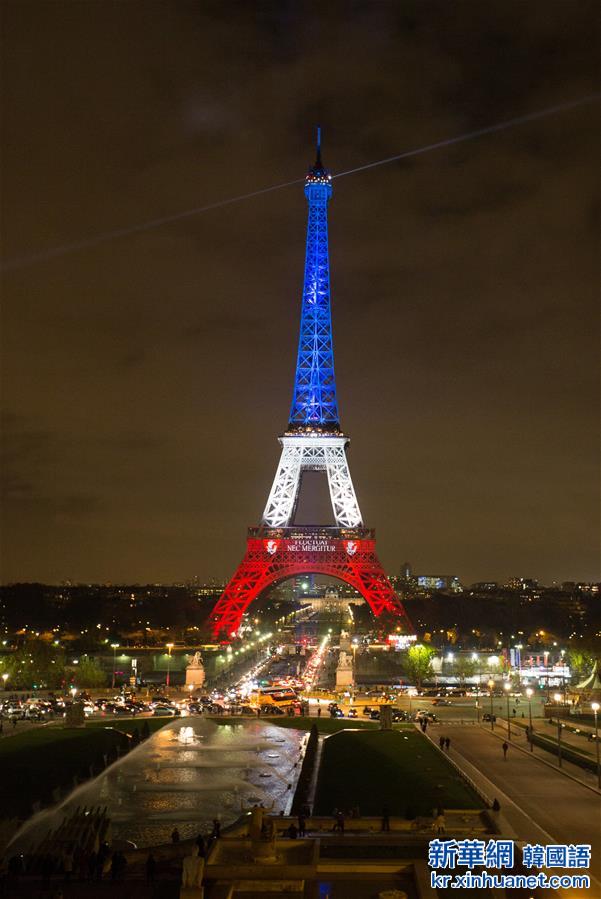 （国际）（2）巴黎埃菲尔铁塔点亮红白蓝三色灯