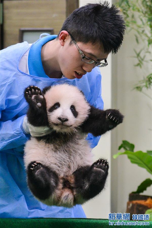 （國際）（3）中國旅馬大熊貓寶寶今起亮相