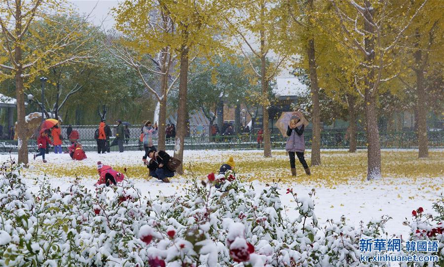 （生态）（17）北京：“小雪”节气雪不小