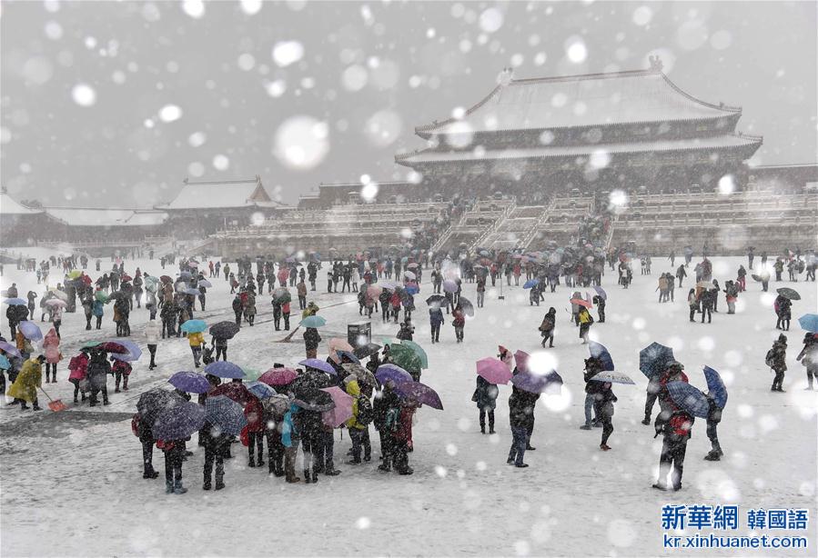 （生态）（24）北京：“小雪”节气雪不小 
