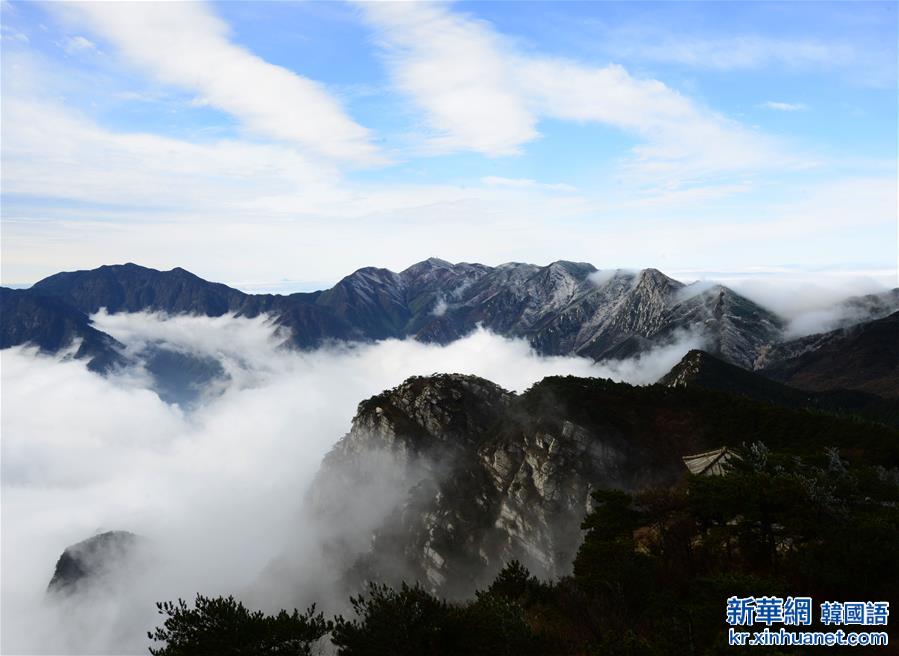 #（美丽中国）（1）庐山现云海雾凇 奇观幻如仙境