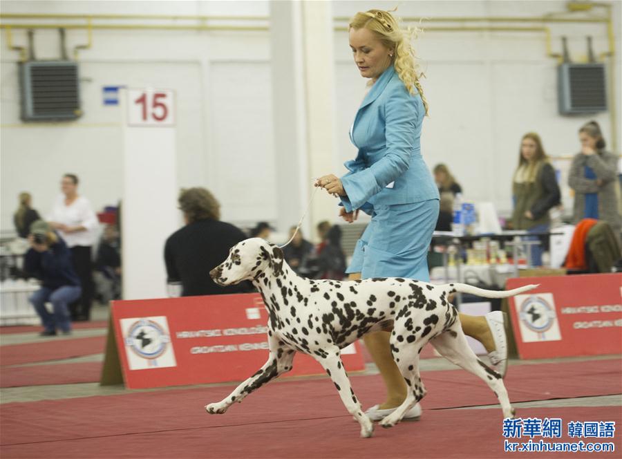 （国际）（4）克罗地亚举办国际狗展