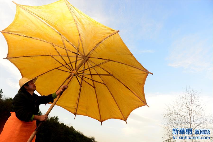 （文化）（1）安徽：一把油伞的非遗传承