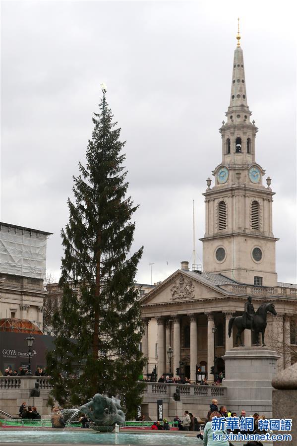 （国际）（5）伦敦：美妙圣诞树