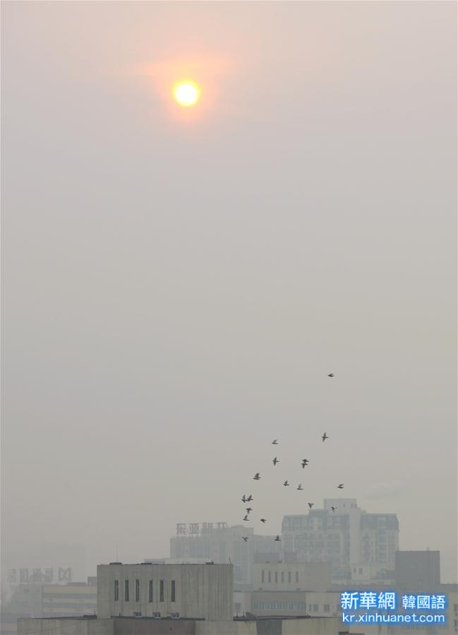 （生态）（5）北京：雾霾红色预警第二天