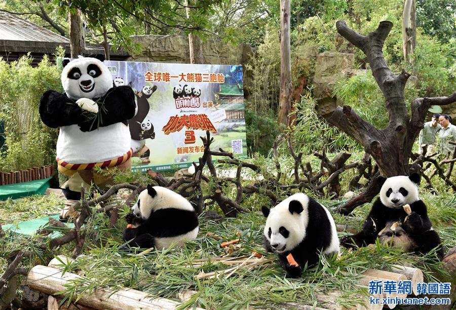 （国际·年终报道）（6）全世界都爱大熊猫