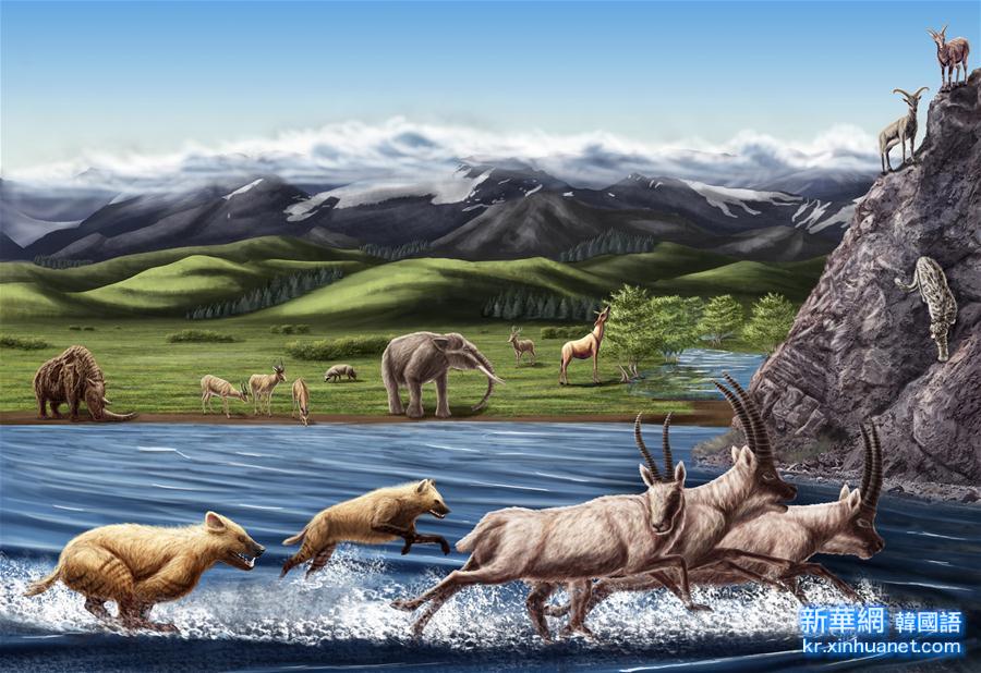 （晚报）（1）西藏阿里发现400多万年前鬣狗化石