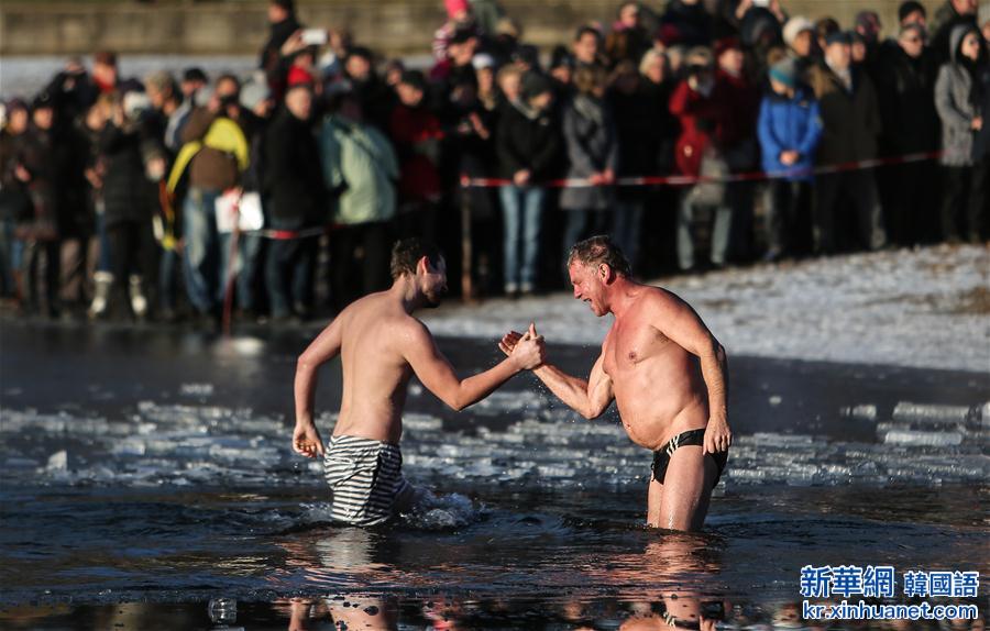 （国际）（1）柏林：冬泳者迎新年