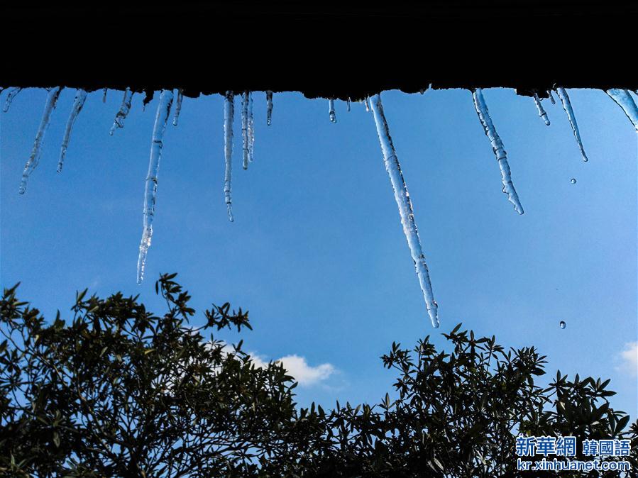 （生态）（4）浙江发布寒潮橙色预警  水乡雪后呈现别样风景