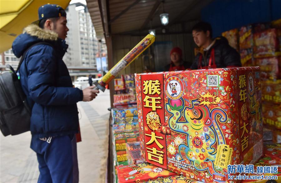 （社会）（2）北京：猴年花炮开卖