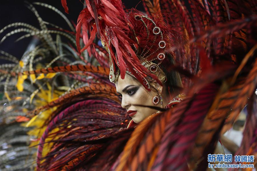 （国际）（5）巴西：狂欢节狂热上演