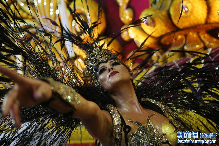 （国际）（6）巴西：狂欢节狂热上演