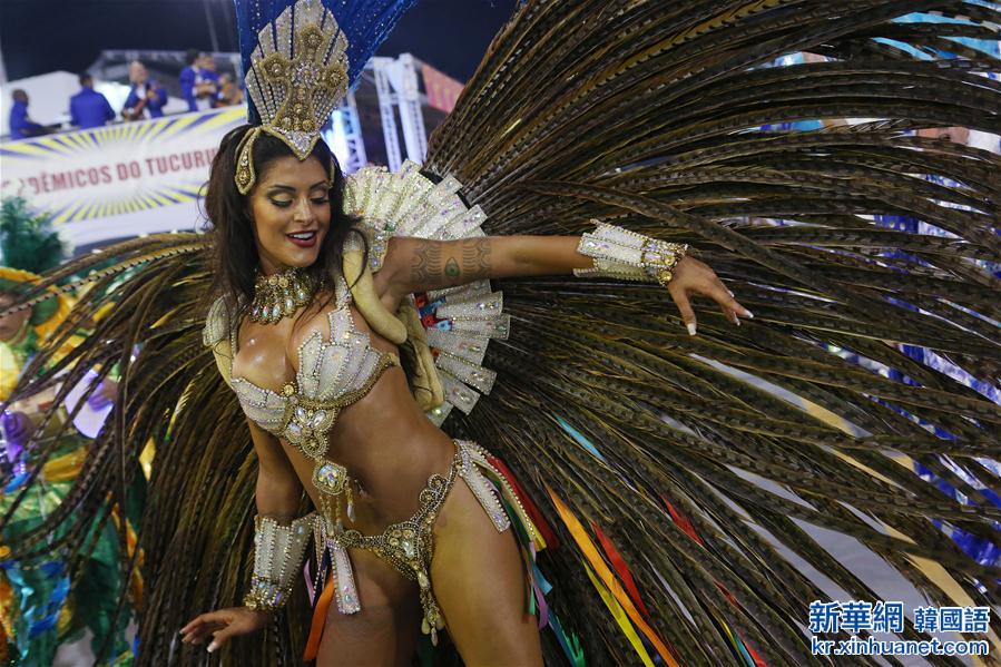 （国际）（7）巴西：狂欢节狂热上演