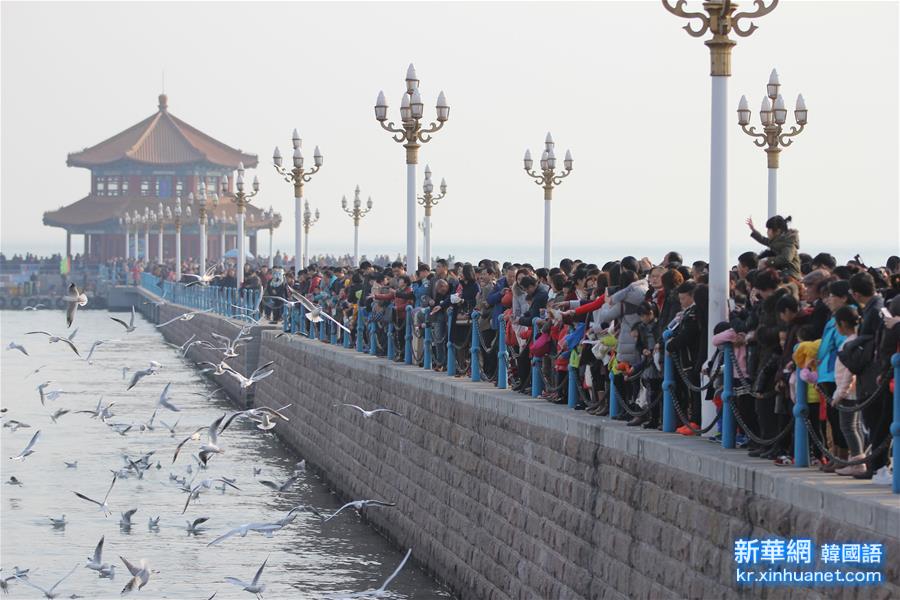 #（经济）（8）春节假期全国接待游客超3亿人次 