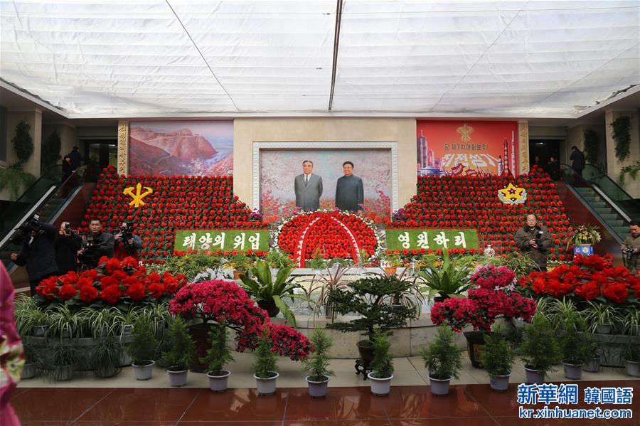 （国际）（1）朝鲜举办第20届“金正日花”花展