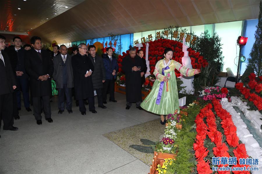 （国际）（2）朝鲜举办第20届“金正日花”花展