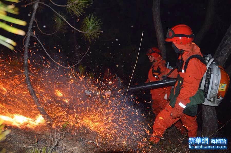 （突发事件）（1）云南香格里拉发生森林火灾 扑救人员1死6伤 明火已扑灭　 