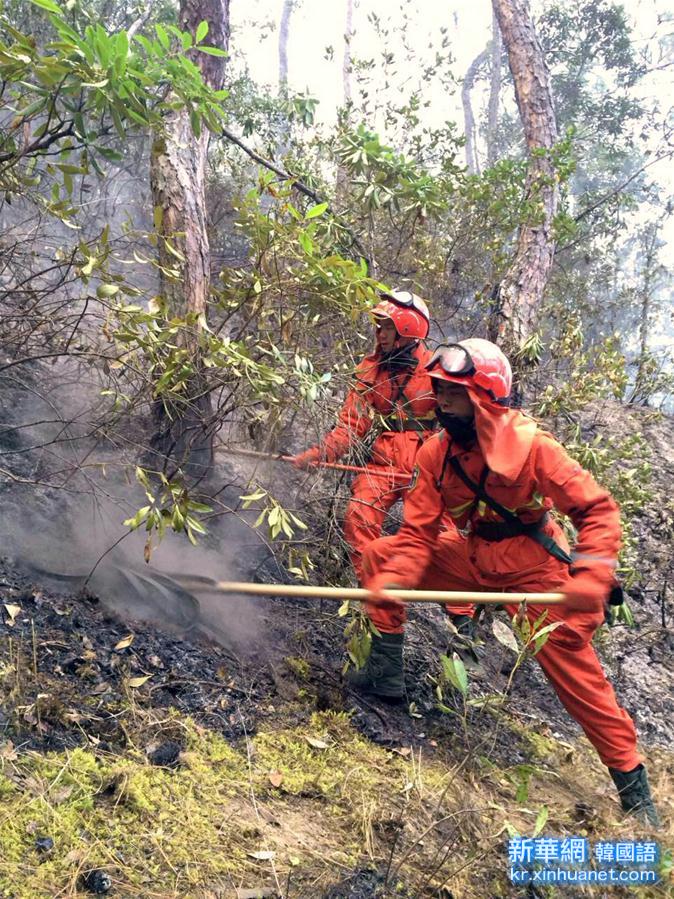 （突发事件）（2）云南香格里拉发生森林火灾 扑救人员1死6伤 明火已扑灭　 