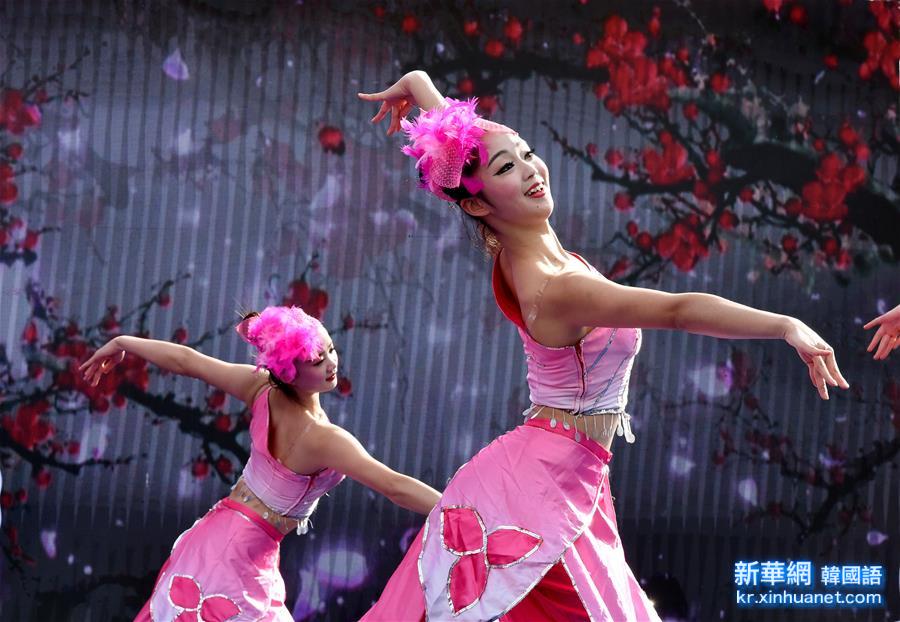 （社会）（2）2016南京国际梅花节开幕