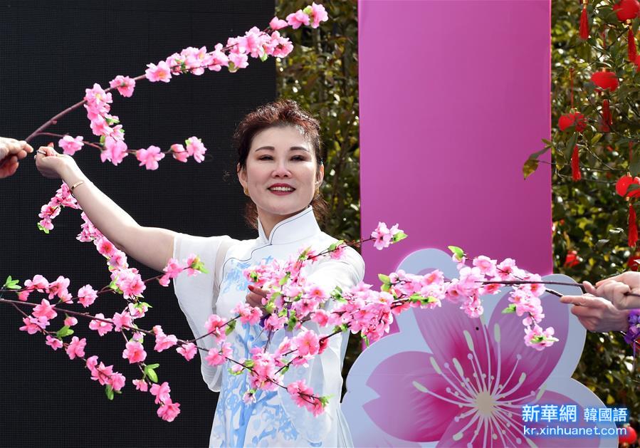 （社会）（3）2016南京国际梅花节开幕