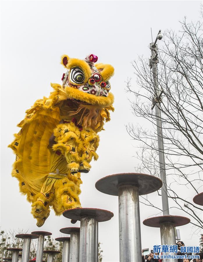 （文化）（2）湖北首届中国龙狮大赛在武汉举行