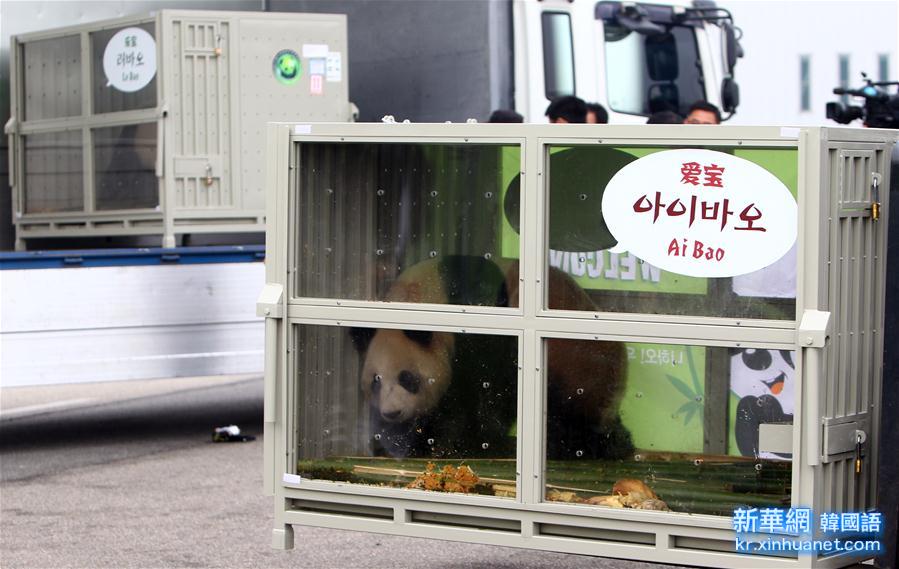（国际）（2）两只大熊猫安全抵达韩国