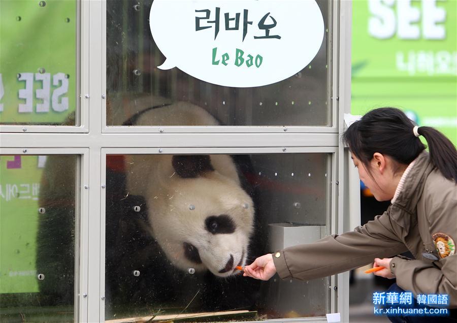 （国际）（4）两只大熊猫安全抵达韩国