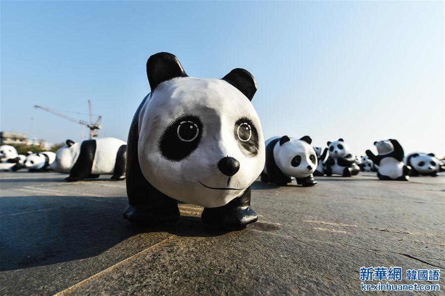 （国际）（3）“熊猫军团”巡泰国 憨态可掬吁环保 