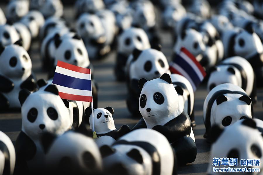 （国际）（5）“熊猫军团”巡泰国 憨态可掬吁环保 