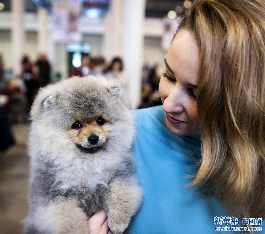 （XHDW）（1）立陶宛首都举办国际宠物犬展