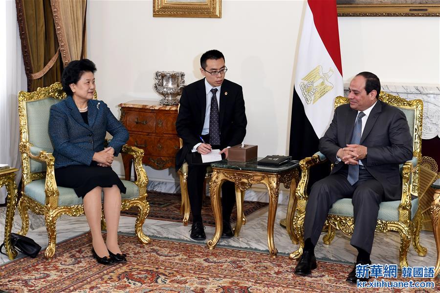 （XHDW）（1）刘延东对埃及进行正式访问