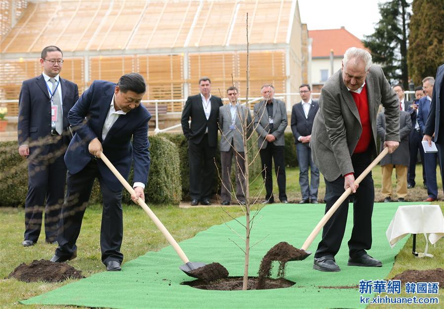 （XHDW）（1）习近平同捷克总统泽曼举行会晤