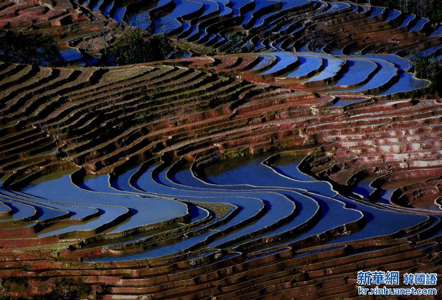 （XHDW）（8）中国梯田——“地球上最美的曲线”