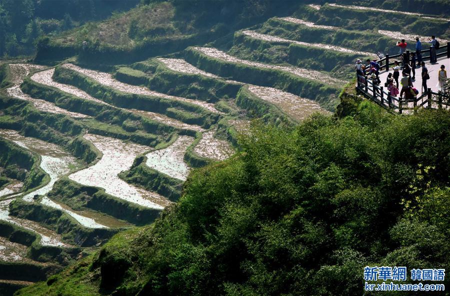 （XHDW）（11）中国梯田——“地球上最美的曲线”