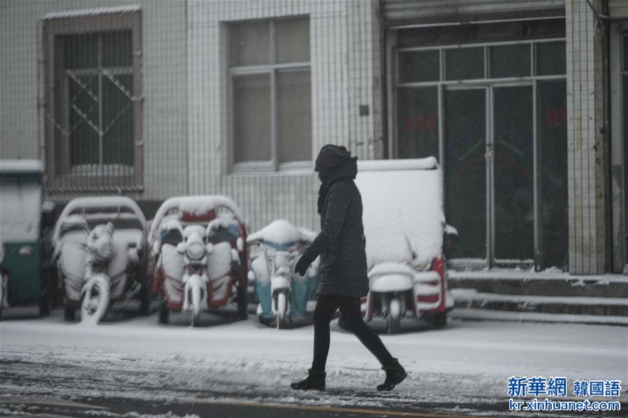 （突发事件）（1）地震影响下的错那