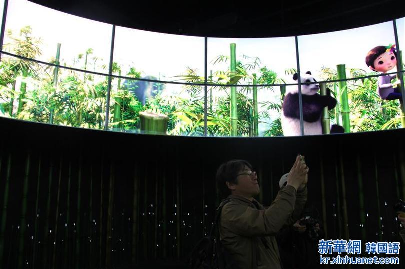 （国际）（2）探访“熊猫夫妇”在韩国的高科技新家 